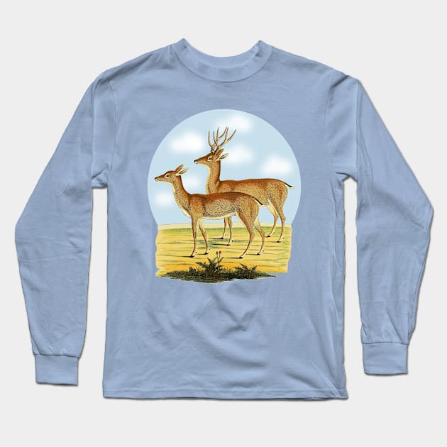 Deers  Illustration Long Sleeve T-Shirt by Biophilia